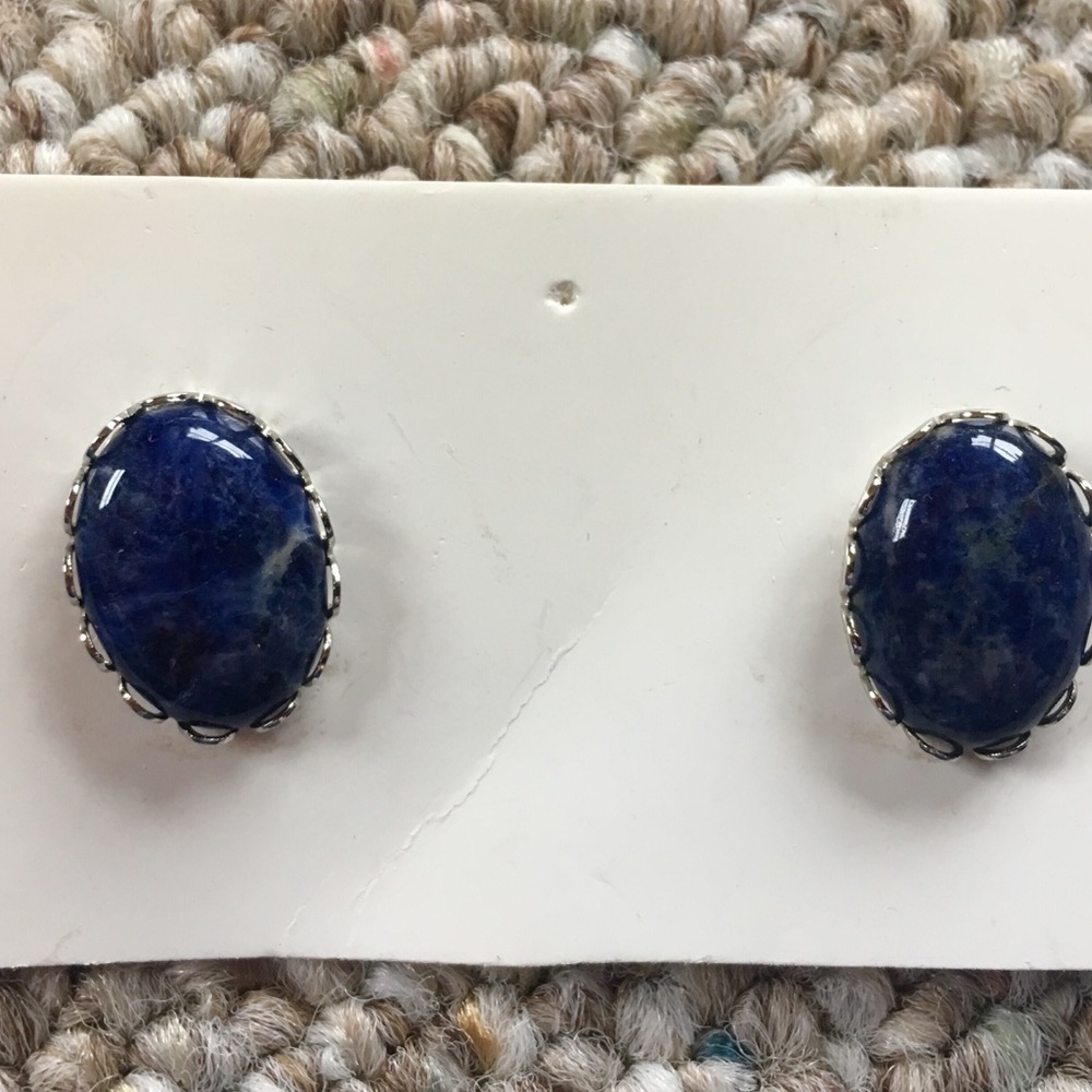 Navy Blue Stone post earrings.